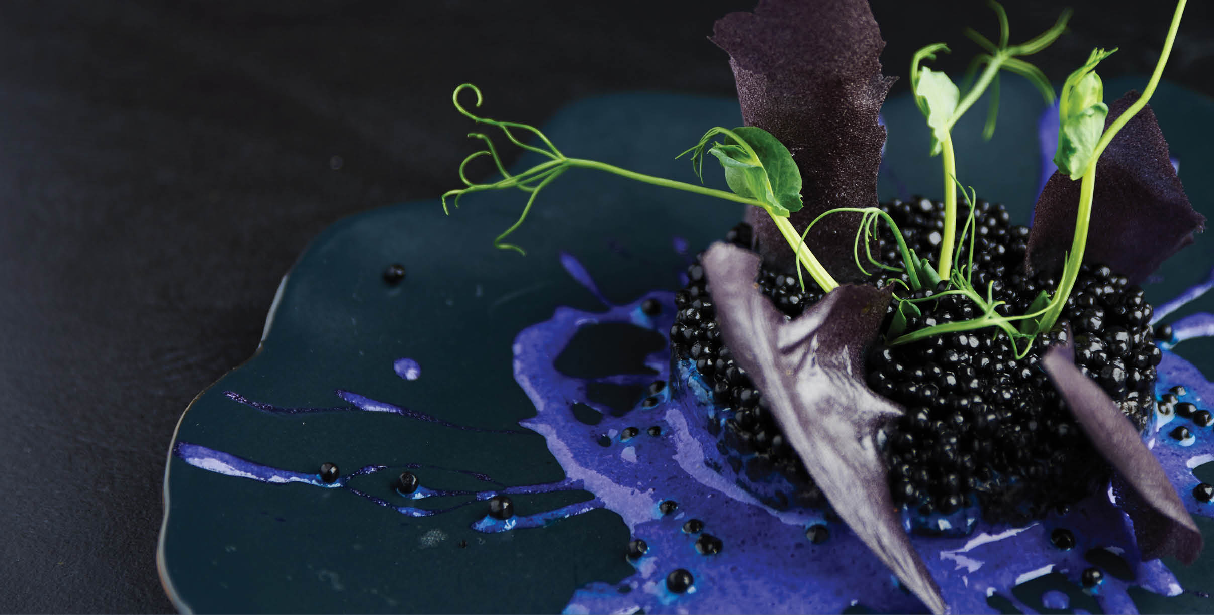 Plate with black risotto on black background with dramatic side light. Haute cuisine.