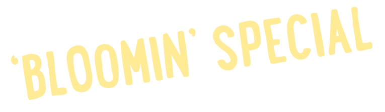 ‘BLOOMIN ’ SPECIAL