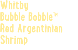 Whitby Bubble BobbleTM Red Argentinian Shrimp